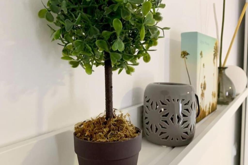 La Casa De Los Tiles Velez Blanco Ngoại thất bức ảnh