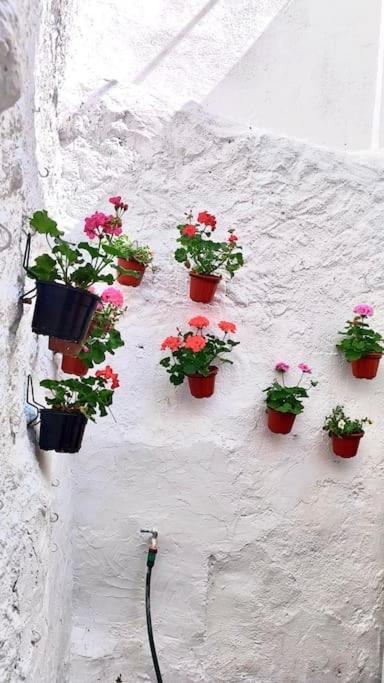 La Casa De Los Tiles Velez Blanco Ngoại thất bức ảnh