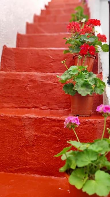 La Casa De Los Tiles Velez Blanco Ngoại thất bức ảnh